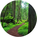 John Pease John Pease