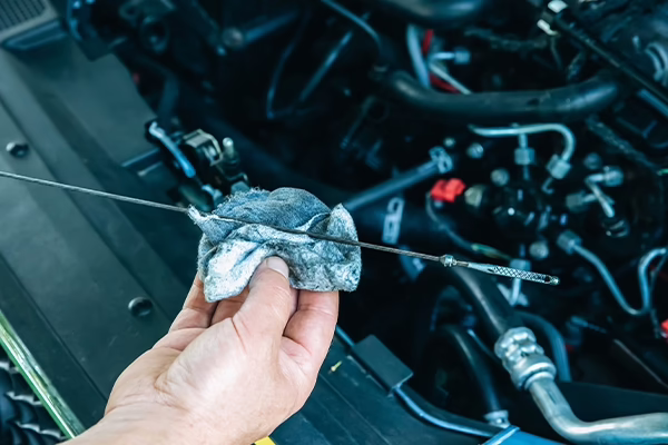Technician checking oil dipstick with cloth