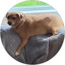 Sean Brandt profile picture